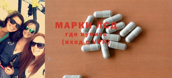 ГАЛЛЮЦИНОГЕННЫЕ ГРИБЫ Михайлов