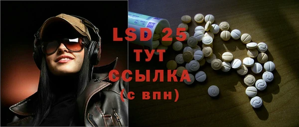ГАЛЛЮЦИНОГЕННЫЕ ГРИБЫ Михайлов