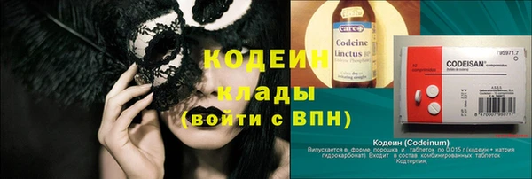ГАЛЛЮЦИНОГЕННЫЕ ГРИБЫ Михайлов