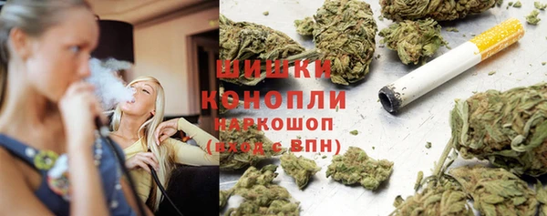 ГАЛЛЮЦИНОГЕННЫЕ ГРИБЫ Михайлов