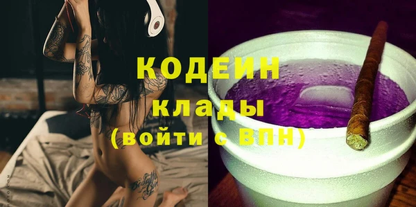 ГАЛЛЮЦИНОГЕННЫЕ ГРИБЫ Михайлов