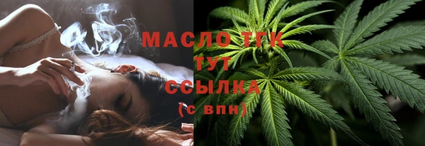 ГАЛЛЮЦИНОГЕННЫЕ ГРИБЫ Михайлов
